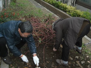 ぼかし20141227_2